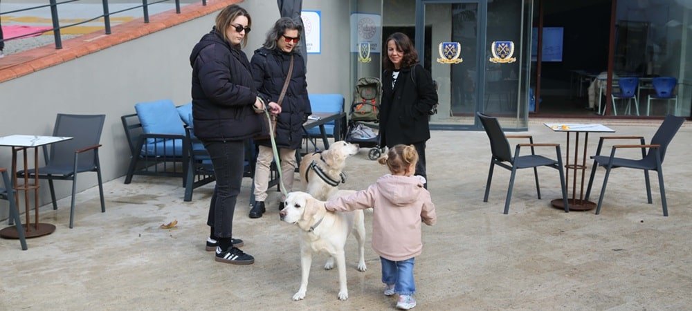 Tarabya İngiliz Okulları öğrencileri, Dünya Engelliler Günü kapsamında Rehber Köpekler ile buluştu
