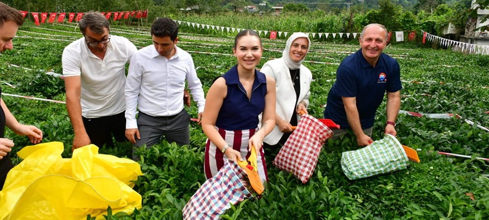 Önce çay topladı, sonra sahnede horon oynadı !